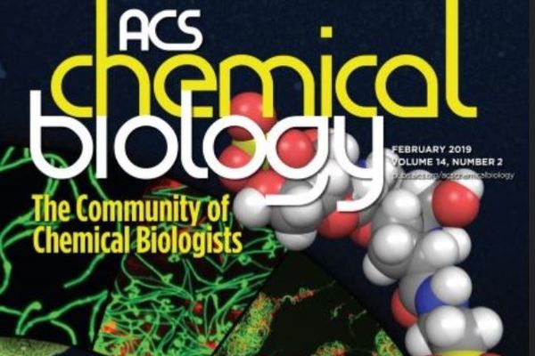 Former EIGH fellow, David Dik, published in ACS Chemical Biology
