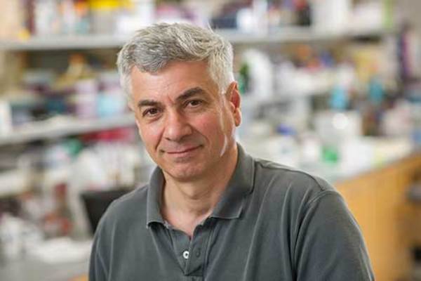 Researcher discovers key to how a cell wall promotes bacterial replication