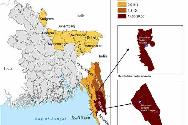 Assessment of clinical drug resistance and laboratory adapted parasite strains with escalating malaria in Bangladesh 