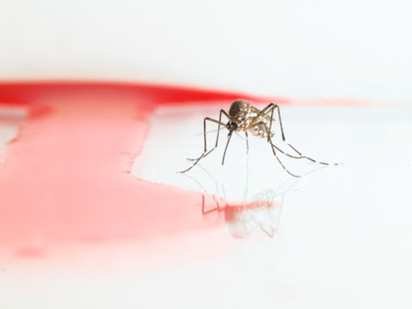 ND joins the fight against West Nile virus and other vector-borne diseases in the Midwest