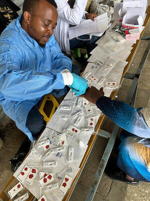 photo of blood samples for malaria testing